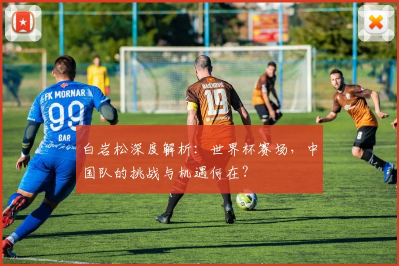 白岩松深度解析：世界杯赛场，中国队的挑战与机遇何在？