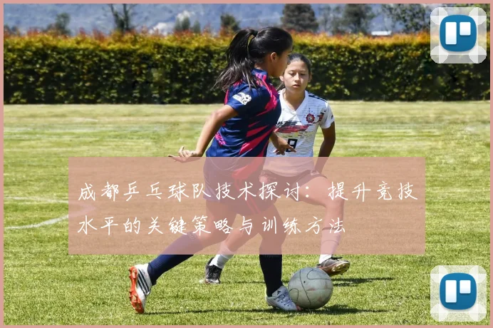 成都乒乓球队技术探讨：提升竞技水平的关键策略与训练方法