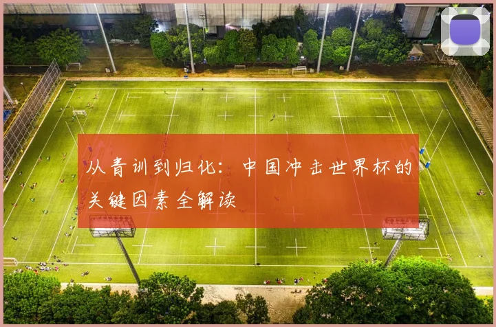 从青训到归化：中国冲击世界杯的关键因素全解读